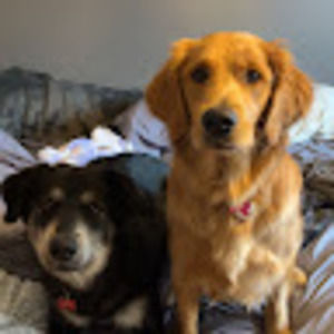 Meet your Posher, Keegan